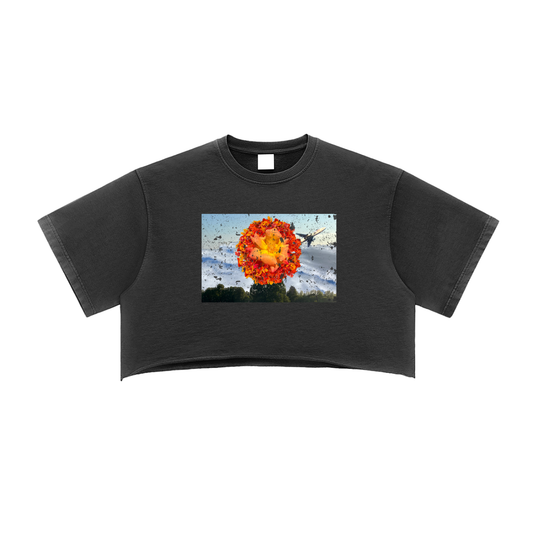 Beauty Crop Top