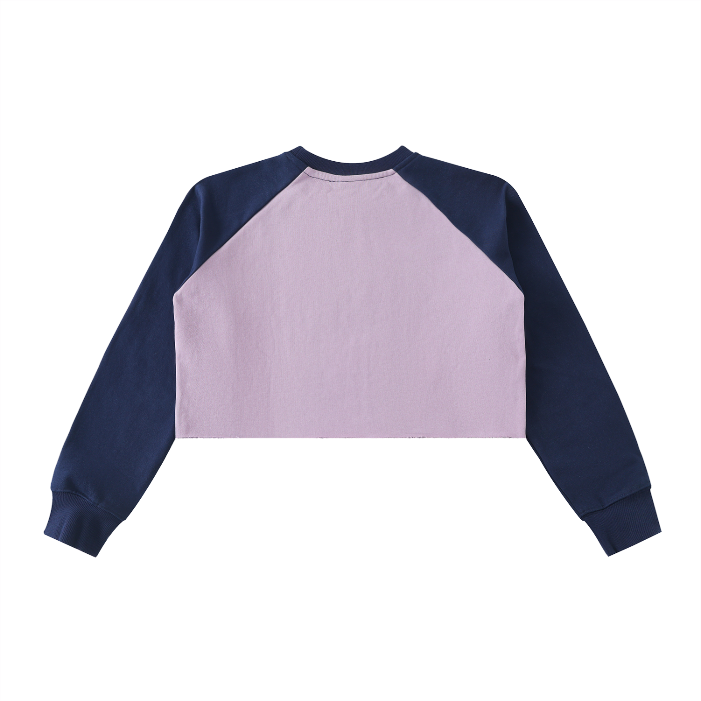 Sunny Day Crop Sweatshirt